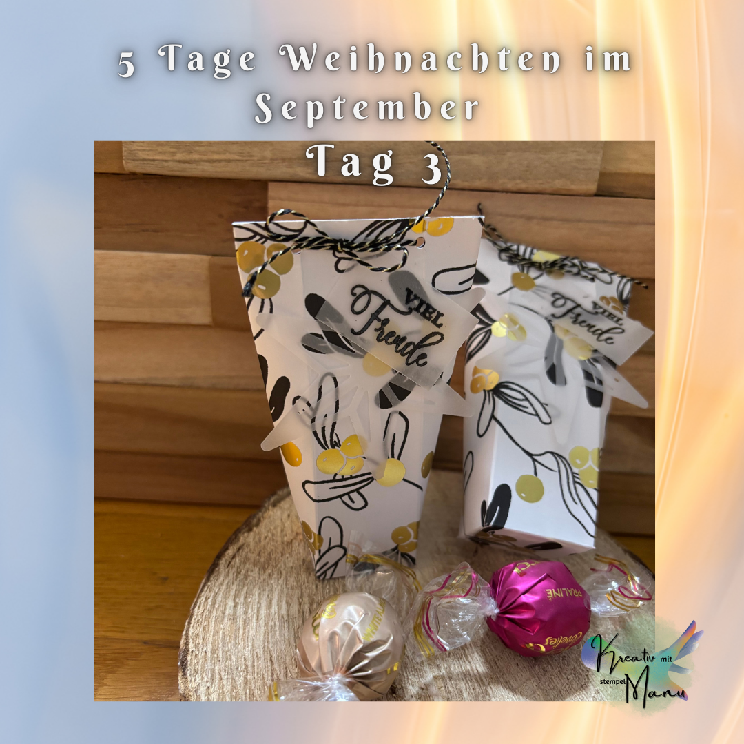 Box ohne Bag